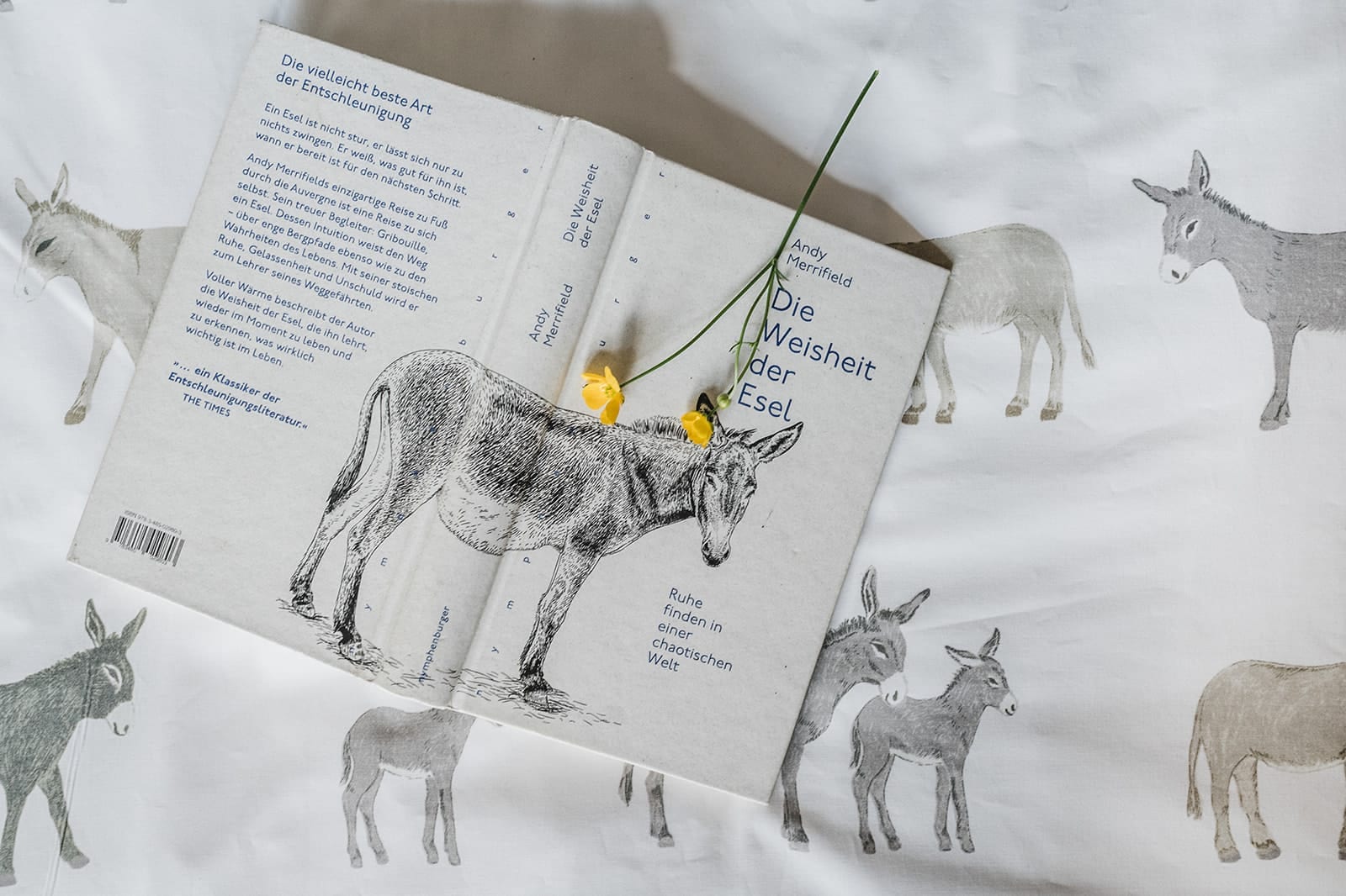 Buch „Die Weisheit der Esel" auf Esel-Bettwäsche in der Eseltraum