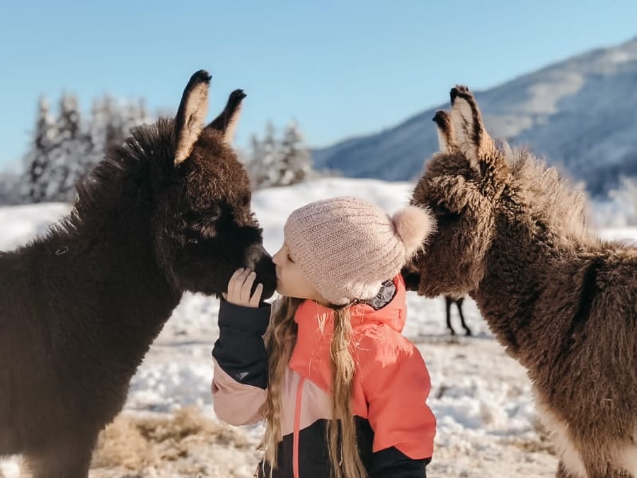 Kind und Esel ganz nah, Eselkuss am Bauernhof am Hochkönig